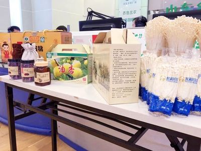 鄒城 打造中國食用菌工廠化生產第一縣，探索鄉村振興特色產業發展新路徑
